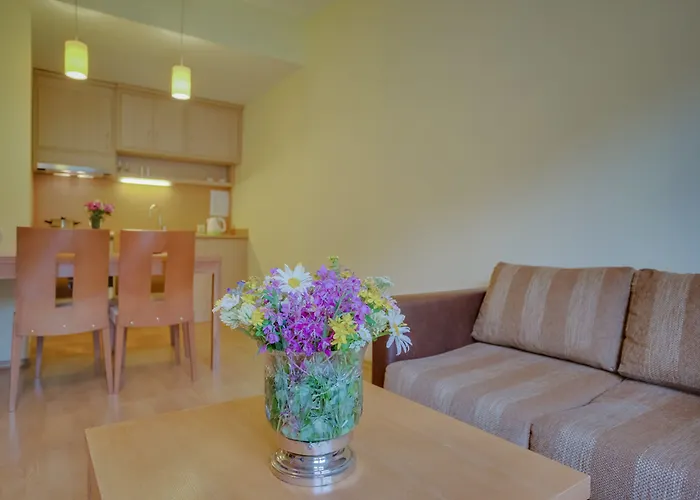 Effect Malina Apart Otel 3*